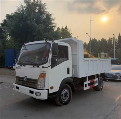 Autocarri con cassone ribaltabile personalizzati in vendita, autocarro con ca...